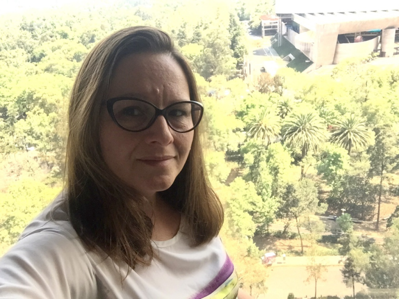 Seminario ICP: Michelle Hafemann, (Instituto de Ciencia Política)